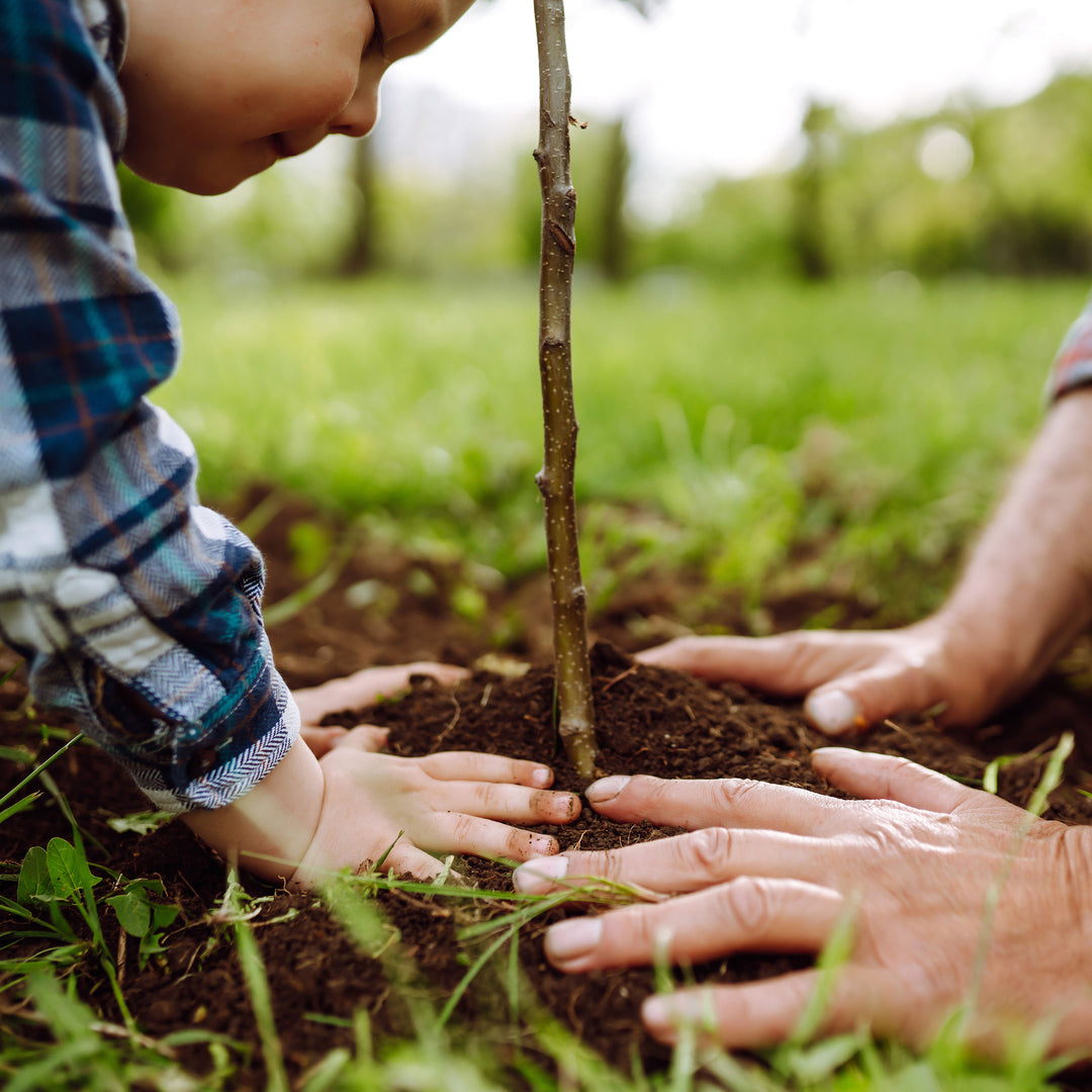 Fruit Growing Experts