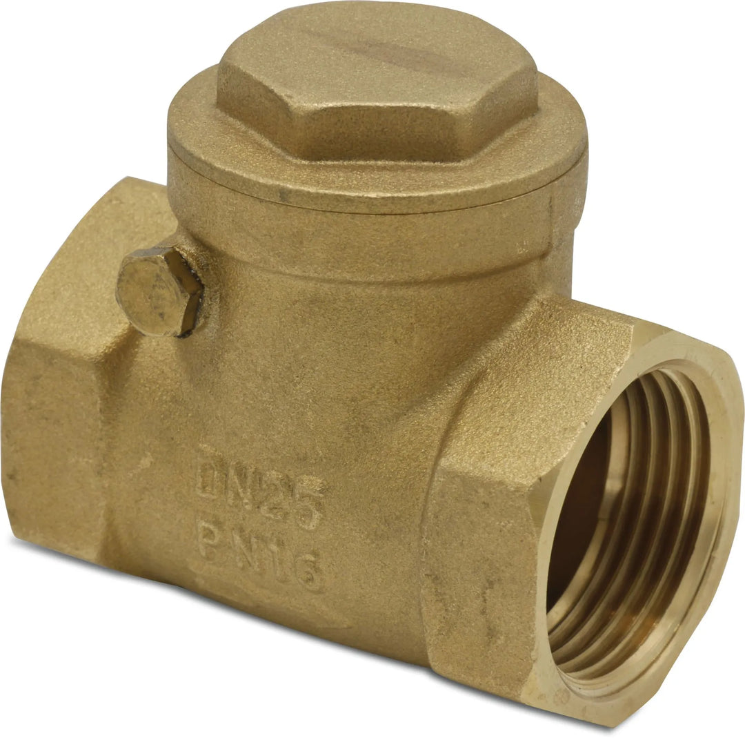 Swing Check Brass Non Return Valve - Female Thread