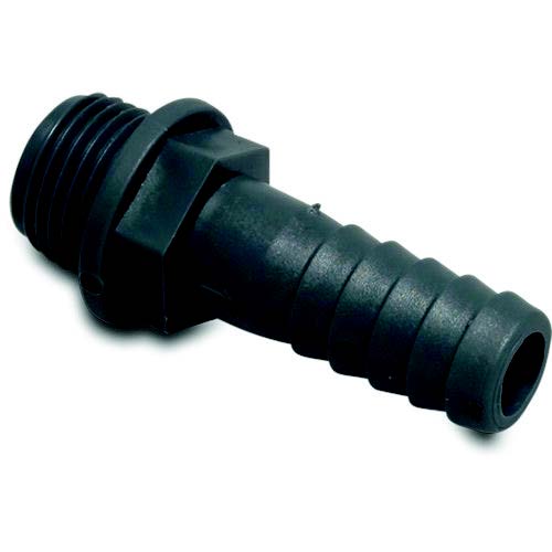 PP Hosetail - Male Thread