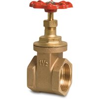 Gate Valve, Female Threads - 2"