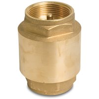 Spring Loaded Brass Non Return Valve - Female Thread - 1"