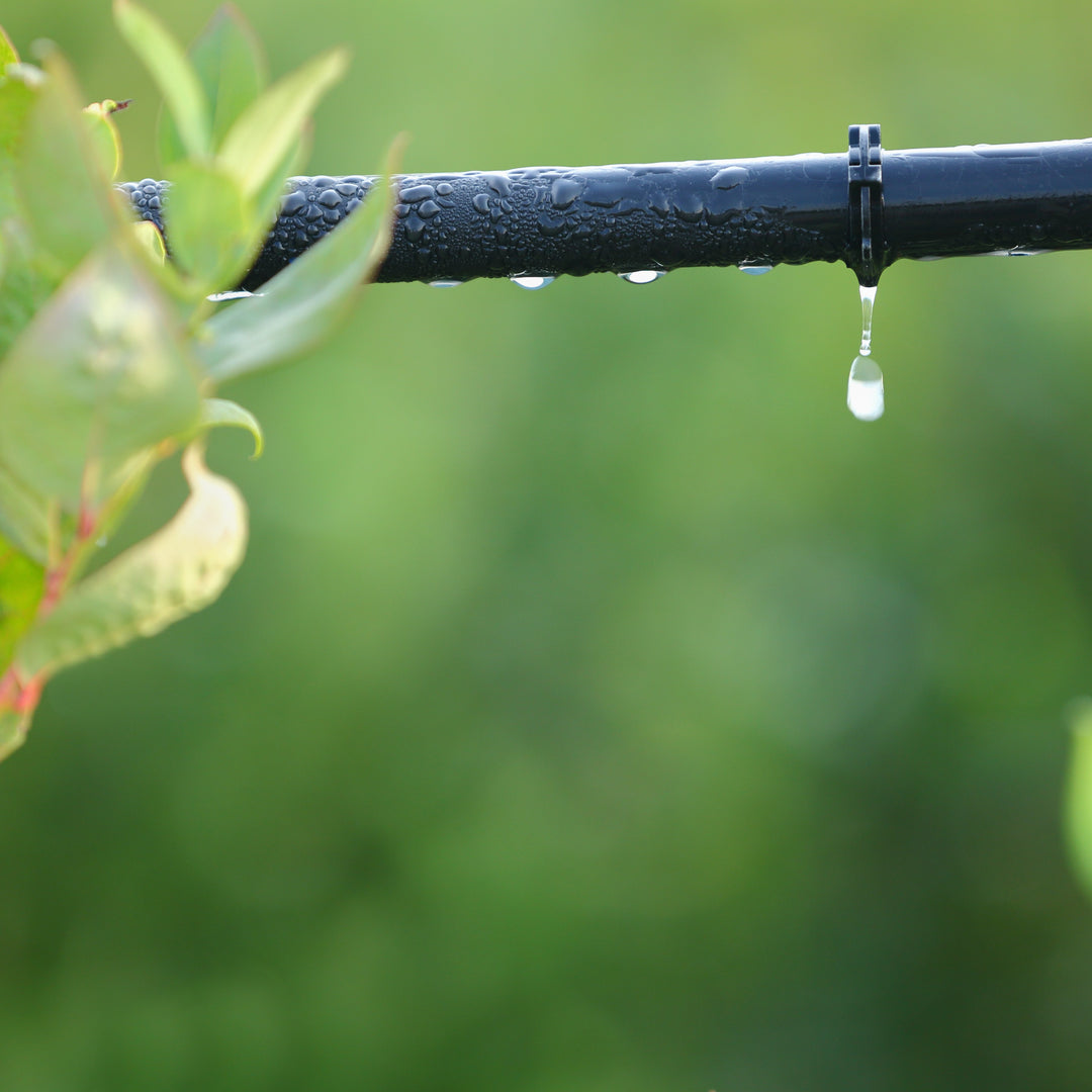 Vineyard Irrigation Systems