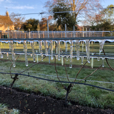 Irrigation And Frost Protection Systems Specifically Designed For Vineyards