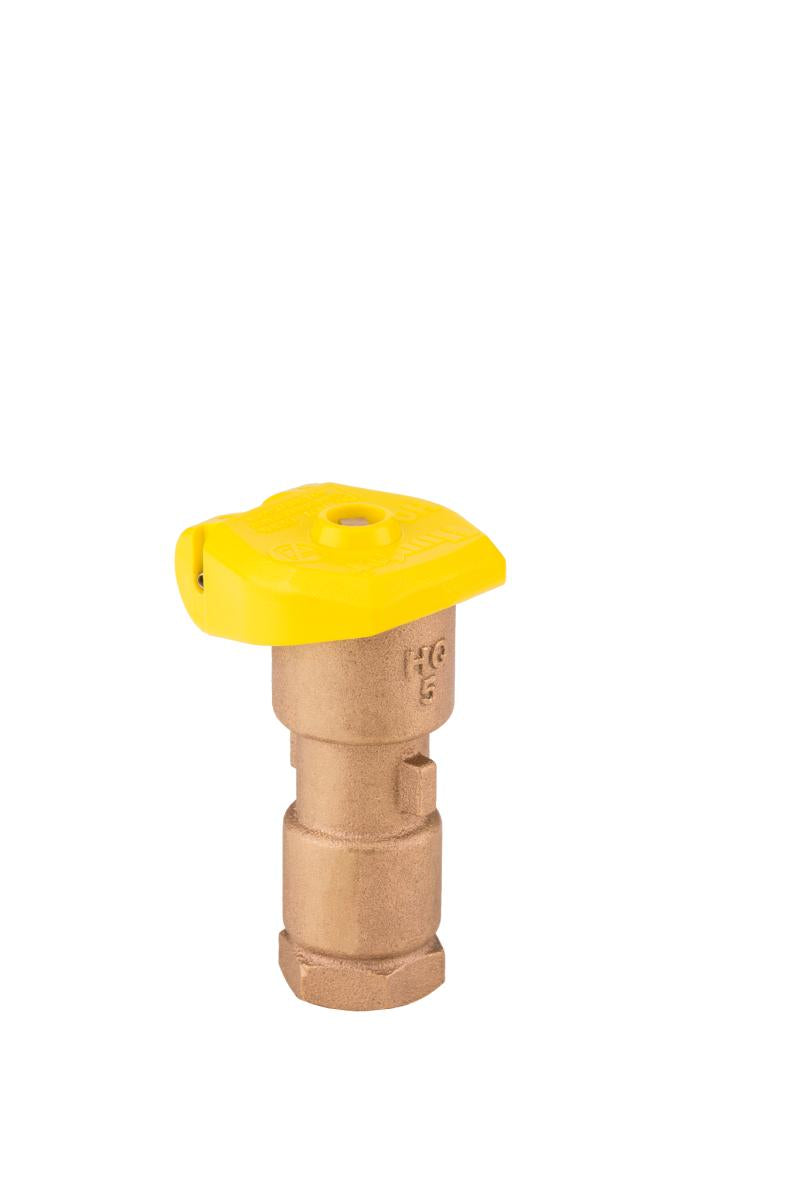 Hunter Quick Coupler Valve 1" Inlet Locking Rubber cover